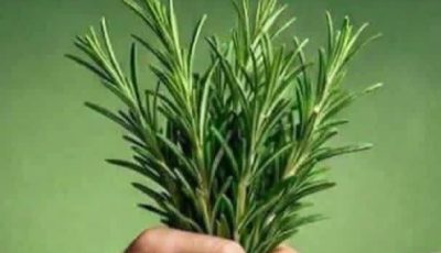 They call it natural morphine because it removes muscle, joint, and rheumatic pain