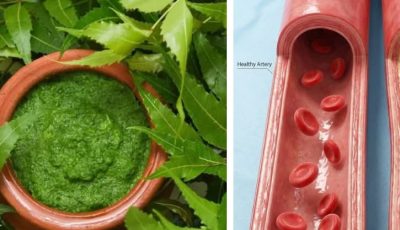 Herbal Leaf Paste for Circulation Support