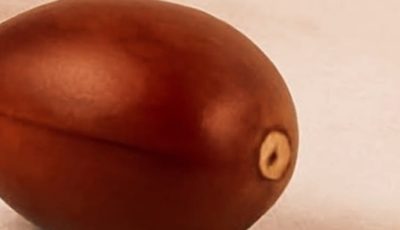 Avocado Seed: Cleanse Your Body and Strengthen Your Heart Naturally
