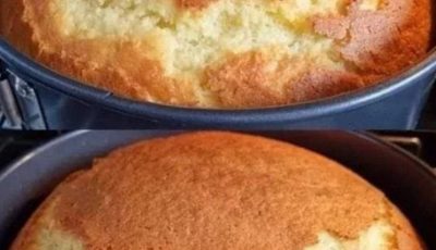 Homemade Sponge Cake