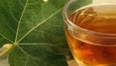 Fig Leaves for Health: Benefits, How to Use, and Natural Remedies