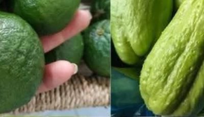 Say Goodbye to Pills: Chayote and Lemon Mixture for Knee Pain, Swollen Feet, High Blood Pressure, and More!