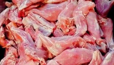 Spicy Fried Frog Legs