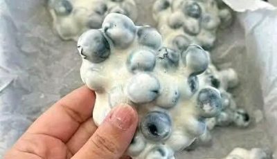 Frozen Blueberry Greek Yogurt Clusters