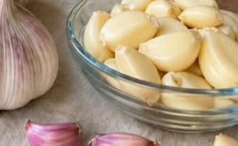 Garlic Fights Bacteria and Infections