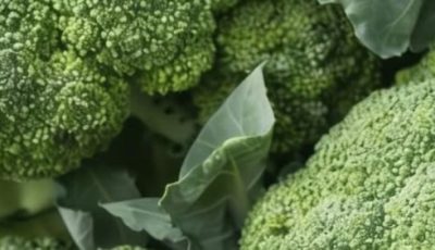 Doctors Reveal That Green Broccoli Causes… The Truth Behind the Viral Claim