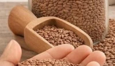 Cancer “Hates” These 6 Seeds: Support Your Health Naturally