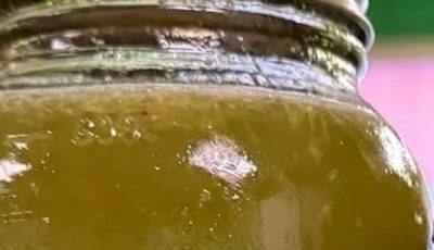 Natural Green Wellness Drink