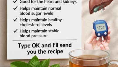 Guava Recipes for Balanced Blood Sugar and Stronger Hair – Natural Remedies that Work