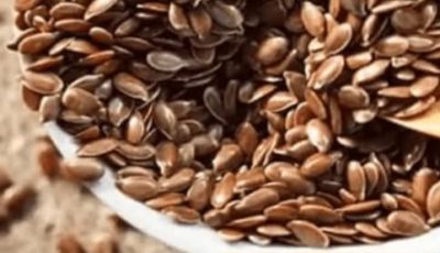 Bird Seeds Water: Can It Help Support Blood Sugar and Overall Health?