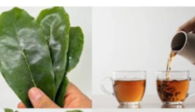 Recettes aux feuilles de corossol pour la santé