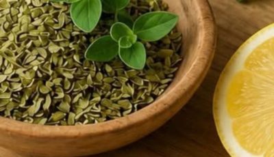 Cuban Oregano: The Medicinal Plant That May Naturally Support Your Well-Being